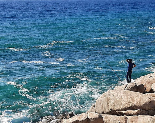 website design,klickhier,klick hier,web mit pep,webseiten,domain,ionos,hosting,server,baukasten,erstellung,betreuung,renovierung,cheap,billig,free,kostenlos,schnell,deutsch,hannover,deutschland,professionell,web designer,web visitenkarte,seo,suchmaschienenoptimierung,e-mail adresse